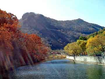 澳门二四六天天彩图库，混元尸医